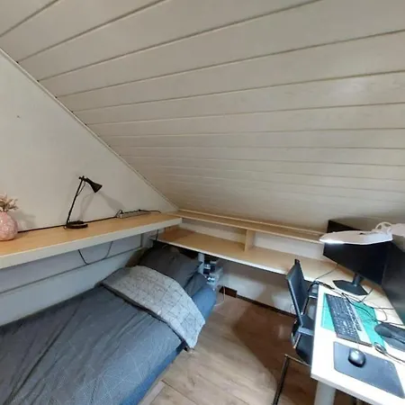 Homestay Brothers Best
